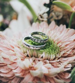 Promises Wedding Review