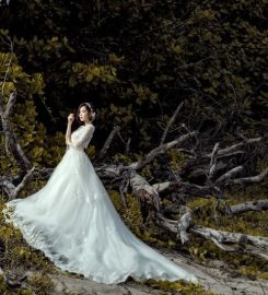 AF Photo Studio Review