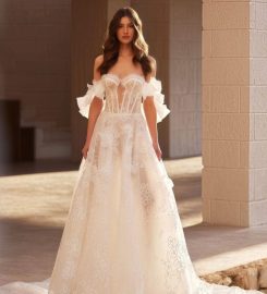 Alisha & Lace Review