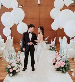 AndroidsinBoots Review