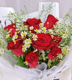 Aroma Flowers Review