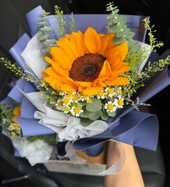 Art In Bloom Review