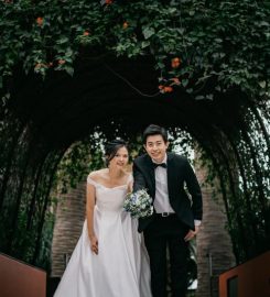 BV Wedding Review
