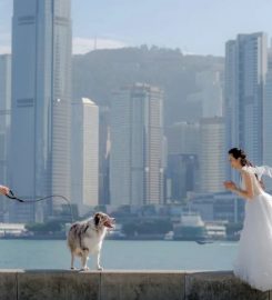 Chris Ling Photography Review
