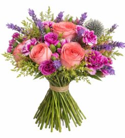 D’Spring Flowers & Plants Review