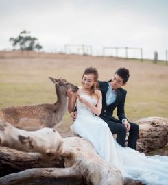 Dream Wedding Boutique Review
