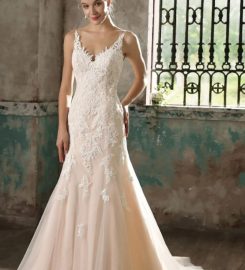 Dream Wedding Boutique Review
