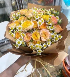 FLORAMOMENTS Review