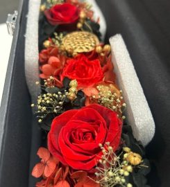 FNP SG Review