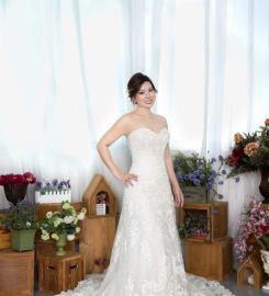 Fazzling Closet & Partners Review