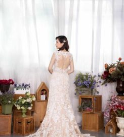 Fazzling Closet & Partners Review