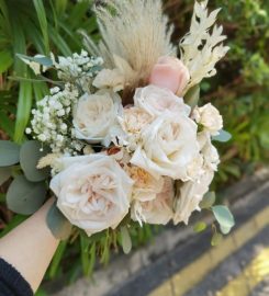 Fleur D’sign Review