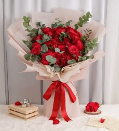 Flower Chimp Singapore Review