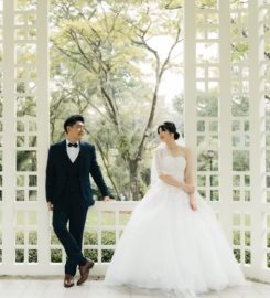 Gown Forestry & Co. Review