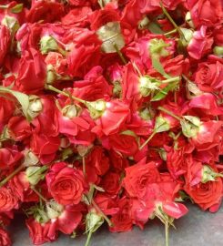 Jothi Flower Shop Review