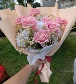 Lee Flora Review