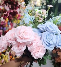 Lee Flora Review