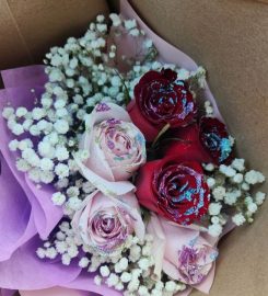 Little Flower Hut Review