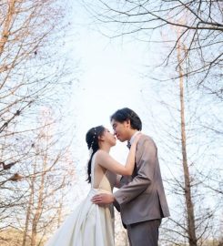 Queena Wedding Review