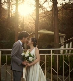 Queena Wedding Review