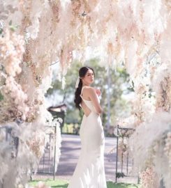 Queena Wedding Review