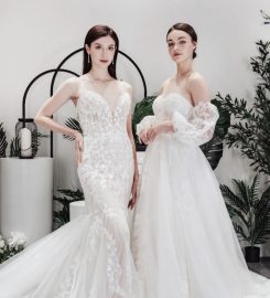 Story Wedding Review