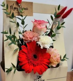 The Bloom Box Review
