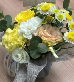 The Bloom Box Review