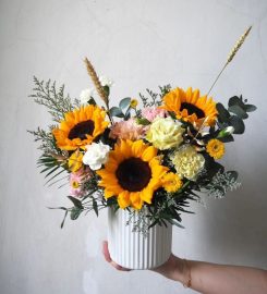 The Bloom Box Review