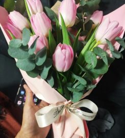 The Bloom Box Review
