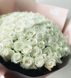 The Florte Review