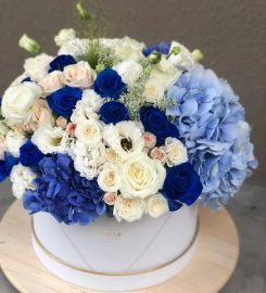 The Florte Review