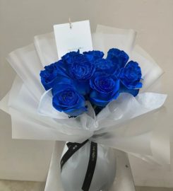 The Florte Review