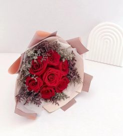 The Rose Ark Review