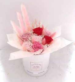 The Rose Ark Review