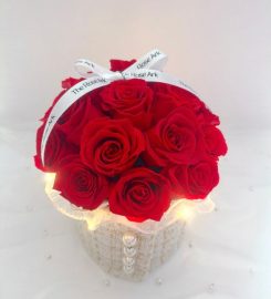 The Rose Ark Review