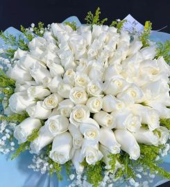 Well Live Florist Review