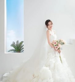 Korean Artiz Studio Review