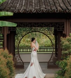 Story Wedding Review